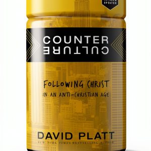 Tyndale Elevate Christian Ethics Kindle eBook-0